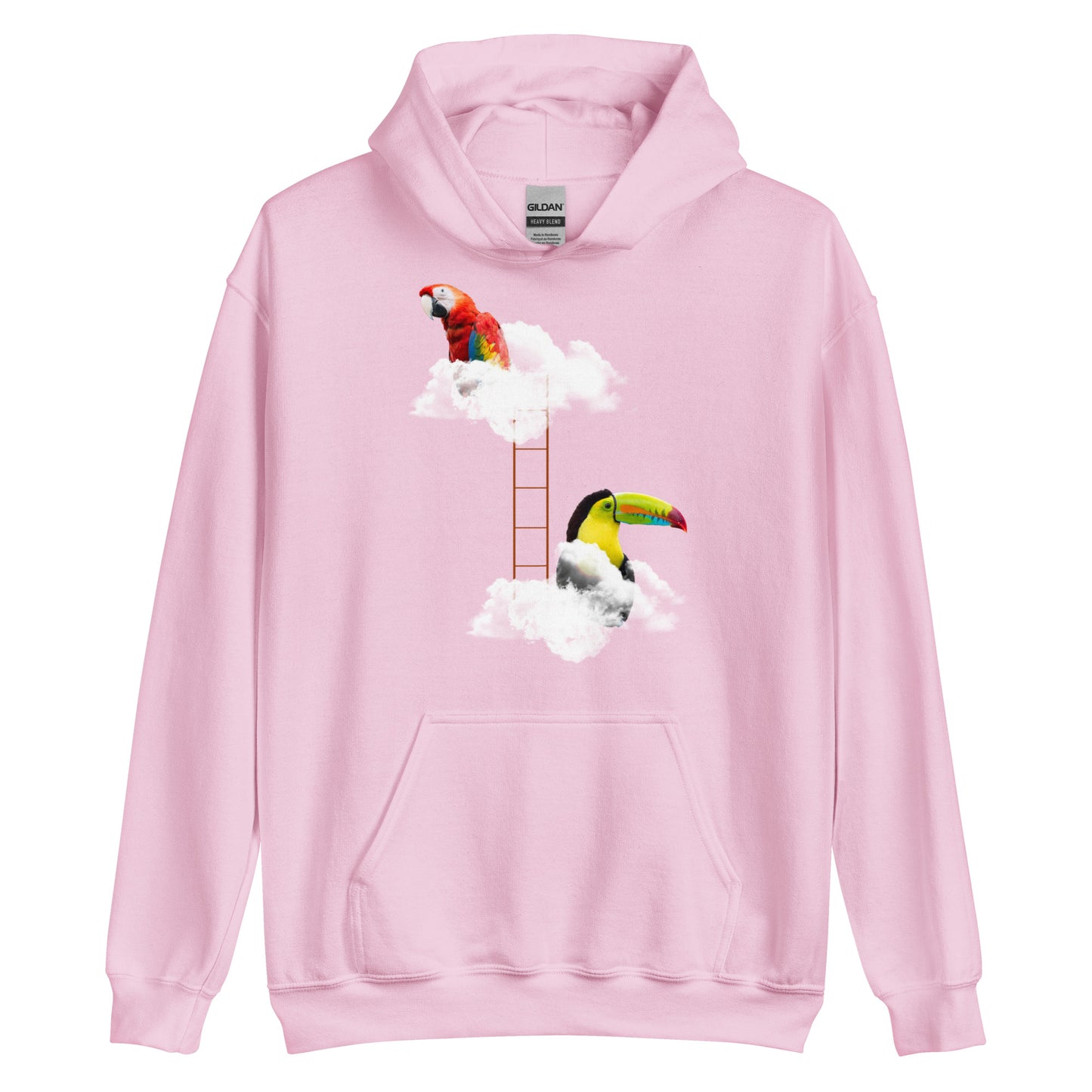 Unisex Hoodie - Ladder Birds